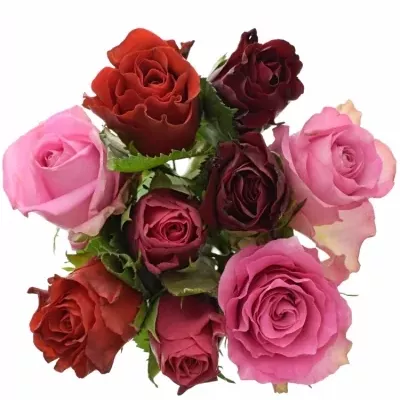 Kytice 9 míchaných růží DESDEMONA 45cm
