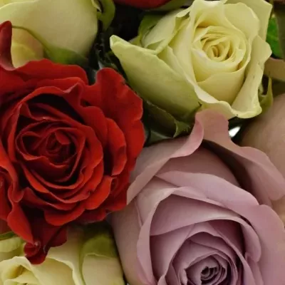 Kytice 9 míchaná DESIRÉE 40cm