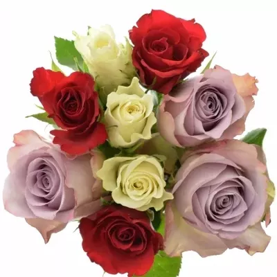 Kytice 9 míchaných růží DEVORA 35cm