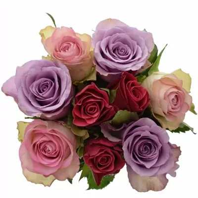 Kytice 9 vícebarevných růží DINORAH 45 cm