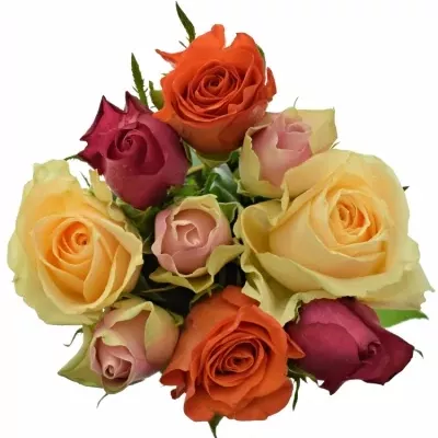 Kytice 9 vícebarevných růží KIMI MELORA 40 cm