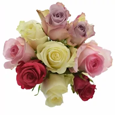 Kytice 9 vícebarevných růží NICOLE 50 cm