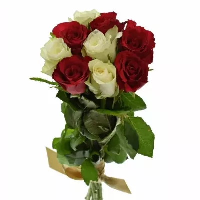 Kytice 9 míchaných růží AGATHA 60cm