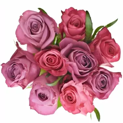 Kytice 9 míchaných růží BENAYA 50cm