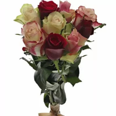 Kytice 9 míchaných růží EBIGALE 35cm