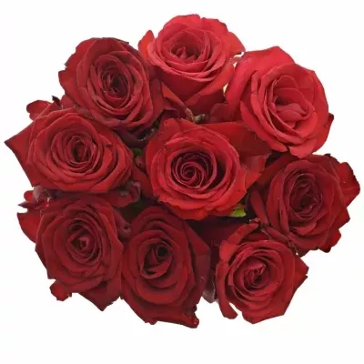 Kytica 9 miešaných ruží JOANNA 40cm