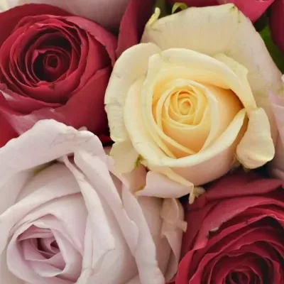 Kytica 9 miešaných ruží LORRIESS