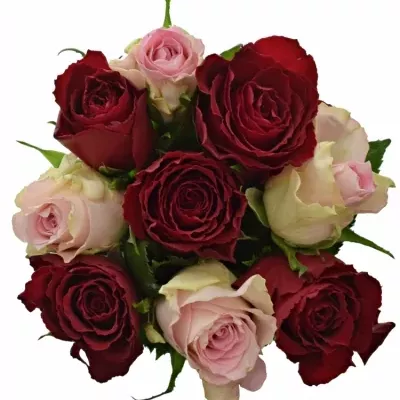 Kytica 9 miešaných ruží MADAM BISO 50cm