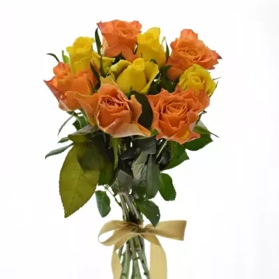 Kytice 9 míchaných růží MARYWALK 50cm