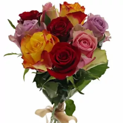 Kytice 9 míchaných růží MIRIAM 50cm