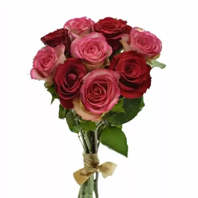 Kytice 9 míchaných růží ODETTE 40cm