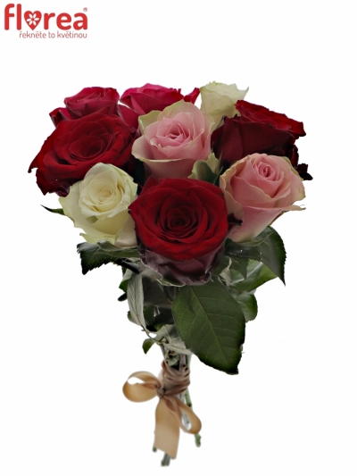 Kytice 9 míchaných růží RADWAN 50cm