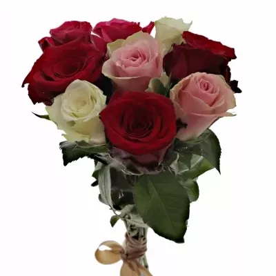 Kytice 9 míchaných růží RADWAN 50cm