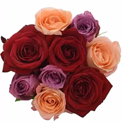 Kytice 9 míchaných růží RED LADY ORLEA 50cm