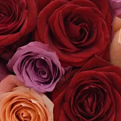 Kytice 9 míchaných růží RED LADY ORLEA 50cm