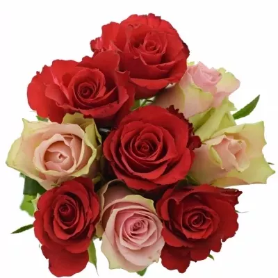 Kytice 9 míchaných růží ROSEBELLINE 35cm