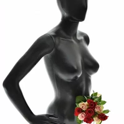 Kytice 9 míchaných růží ROSEBELLINE 50cm