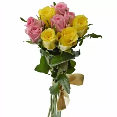 Kytice 9 míchaných růží SHANLEY 50cm