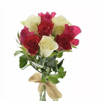 Kytice 9 míchaných růží WHITE GRACIANA 35cm