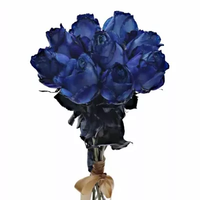 Kytice 9 modrých růží BLUE QUEEN OF AFRICA