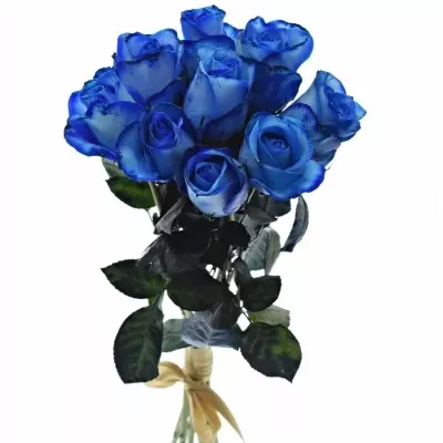 Kytice 9 modrých růží BLUE SNOWSTORM+ 40cm
