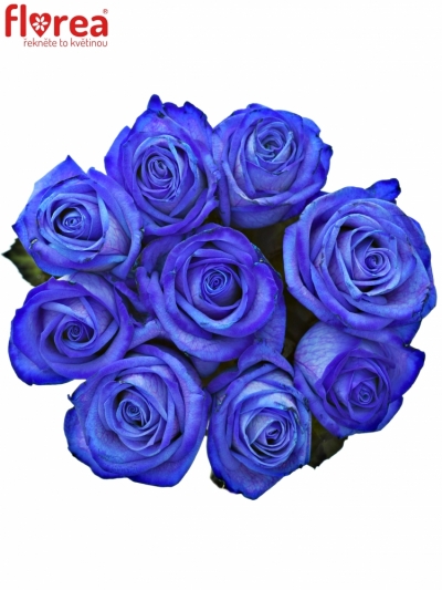 Kytica 9 modrých ruží BLUE Vendel 60cm