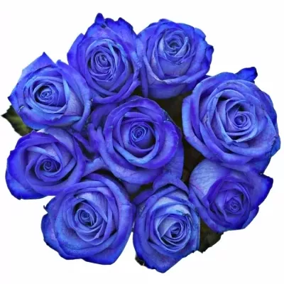Kytice 9 modrých růží BLUE VENDELA 80cm