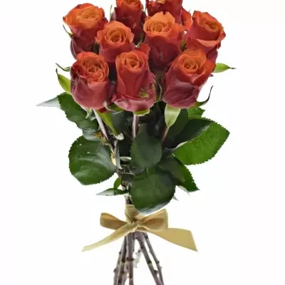 Kytice 9 oranžovočervených růží ESPANA 40cm