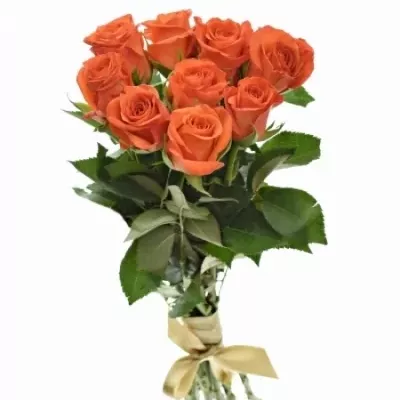 Kytice 9 oranžových růží ALMANZA