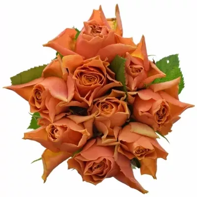 Kytice 9 oranžových růží ARANCIO 40cm