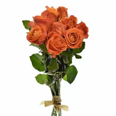 Kytice 9 oranžových růží CLARENCE+ 60cm