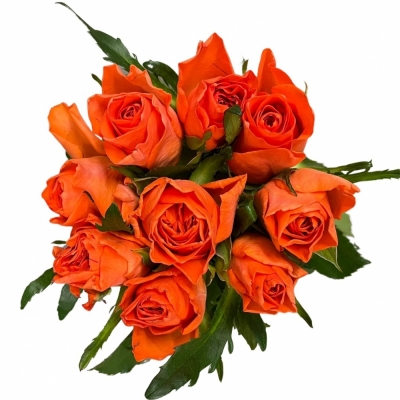Kytice 9 oranžových růží COMANCHE