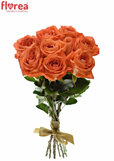 Kytice 9 oranžových růží COPACABANA 50cm