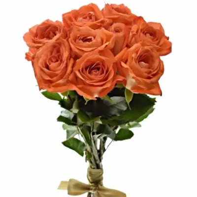 Kytice 9 oranžových růží COPACABANA 50cm