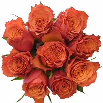 Kytice 9 oranžových růží DEVOTED 50cm