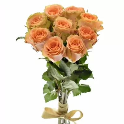 Kytice 9 oranžových růží FLORENTINE