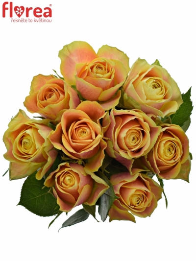 Kytice 9 oranžových růží MARACUJA 40cm