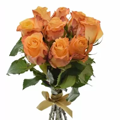 Kytice 9 oranžových růží MONALISA 50cm