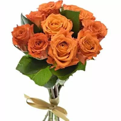 Kytice 9 oranžových růží Mpesa 40cm
