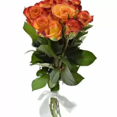 Kytice 9 oranžových růží OUTLAW! 40cm
