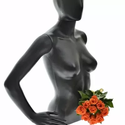 Kytica 9 oranžových ruží Patz 60cm