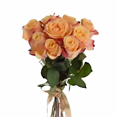 Kytica 9 oranžových ruží PEBBLES
