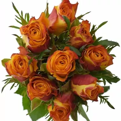 Kytice 9 oranžových růží SOMBRERO 40cm
