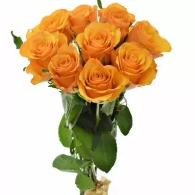 Kytice 9 oranžových růží TYCOON