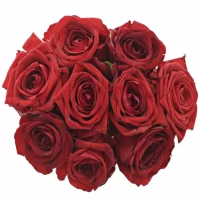 Kytica 9 červených ruží RED NAOMI! 30cm