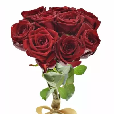 Kytica 9 červených ruží RED NAOMI! 30cm