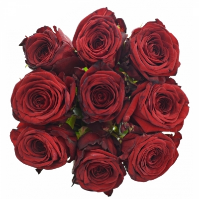 Kytice 9 rudých růží RED NAOMI! 50cm