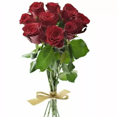 Kytice 9 rudých růží RHODOS