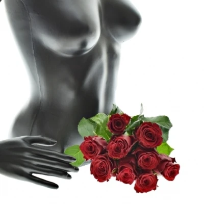 Kytice 9 rudých růží RHODOS