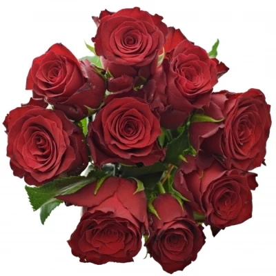 Kytice 9 rudých růží RHODOS